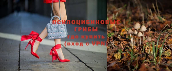 соль ск Магас