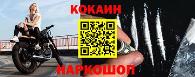 тгк Кингисепп