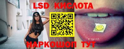 тгк Кингисепп