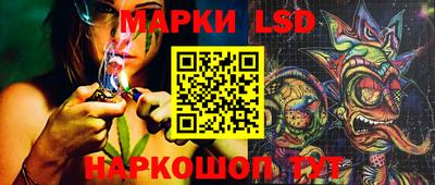 тгк Кингисепп