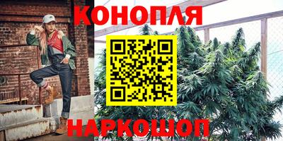 тгк Кингисепп