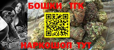 тгк Кингисепп