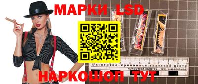тгк Кингисепп