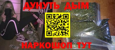 тгк Кингисепп