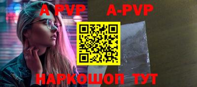 тгк Кингисепп