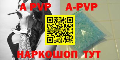 тгк Кингисепп