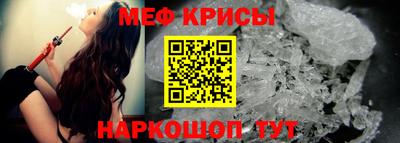 тгк Кингисепп