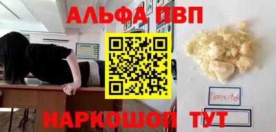 тгк Кингисепп