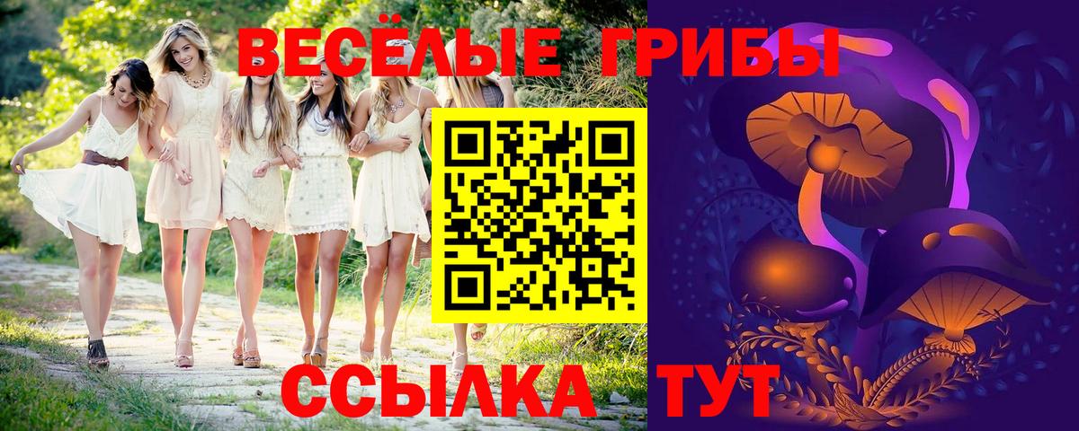 Курск  Псилоцибиновые грибы прущие грибы  Вход с VPN 